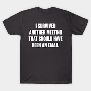 I Survived Another Meeting That Should Have Been An Email T-Shirt